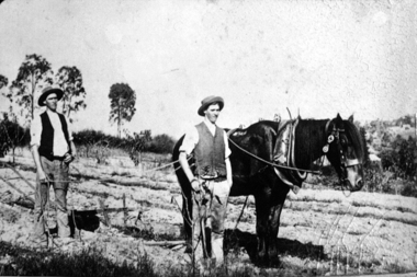 Photograph - Digital Image, Partington brothers ploughing, 1895c