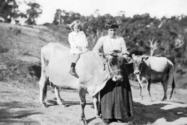 Photograph - Digital image, Annie May with Jessie on cow, 1914c