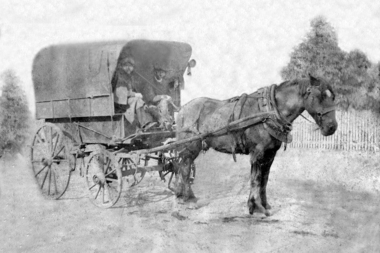 Photograph - Digital Image, Horse and buggy, 1880c