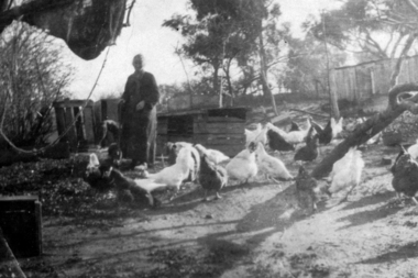 Photograph - Digital image, Sarah Jane Price, 1920c