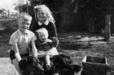 Photograph - Digital image, The Gate, 1938c