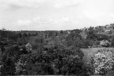 Photograph - Digital image, Willis Vale [2], 1950c