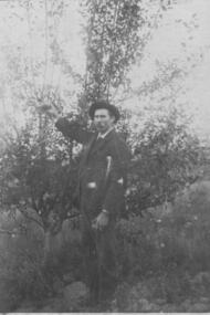 Photograph - Digital image, William Partington in orchard at Willis Vale, 1922c