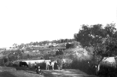 Photograph - Digital Image, View of Greensborough from Willis Vale, 1906_