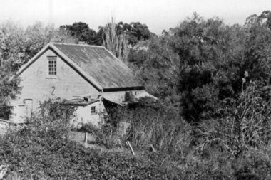 Photograph - Digital Image, Willis Vale, 1950c