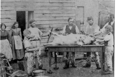 Photograph - Digital Image, Willis Vale - Whatmoughs butcher a pig, 1870c