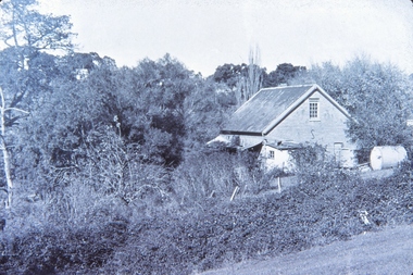 Photograph - Digital Image, Willis Vale, 1950c