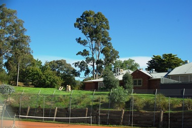 Photograph - Digital image, Alwyn and tennis court 2014, 21/05/2014