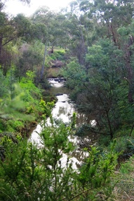Photograph - Digital Image, Plenty River Greensborough May 2014 -1, 21/05/2014