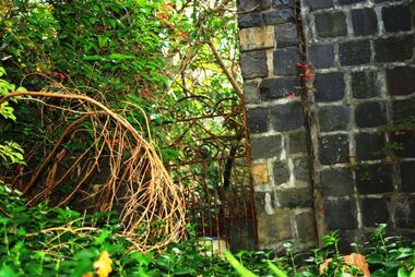 Photograph - Digital Image, Marsh House [38 Hailes Street] 2014 1, 21/05/2014