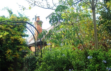 Photograph - Digital Image, Marsh House [38 Hailes Street] 2014 6, 21/05/2014