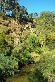 Photograph - Digital Image, Plenty River Greensborough, May 2014 -10, 21/05/2014