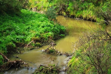 Photograph - Digital Image, Plenty River Greensborough, May 2014 -9, 21/05/2014