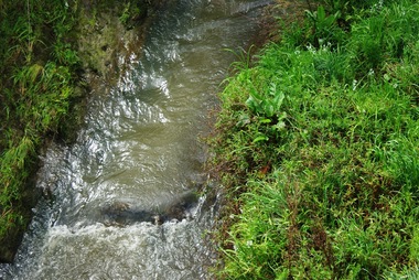 Photograph - Digital Image, Plenty River Greensborough, May 2014 -8, 18/09/2014