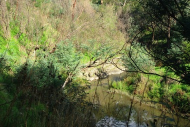Photograph - Digital Image, Plenty River Greensborough, May 2014 -7, 21/05/2014