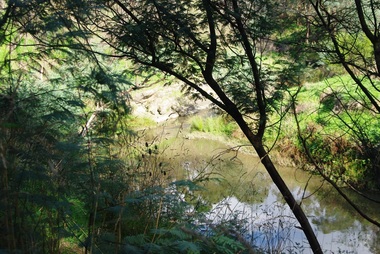 Photograph - Digital Image, Plenty River Greensborough, May 2014 -6, 21/05/2014