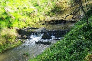Photograph - Digital Image, Plenty River Greensborough, May 2014 -5, 21/05/2014