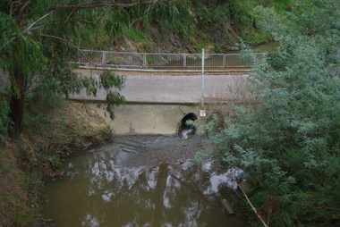 Photograph - Digital Image, Plenty River Greensborough, May 2014 -2, 21/05/2014