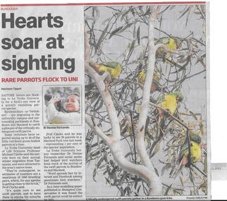 Newspaper clipping, Hearts soar at sighting, 01/07/2015
