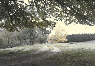 Photograph, Partington's Flat Greensborough Circa 1968, 1968_