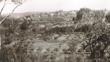 Photograph - Digital Image, Partingtons Flat and Whatmough Park taken from hill, 1930c