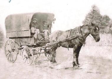 Photograph - Digital Image, Wagon at Willis Vale, 1880s