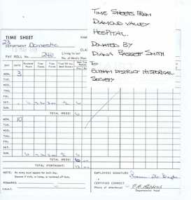 Time Sheets, Time Sheets - Diamond Valley Hospital, 16/05/1993