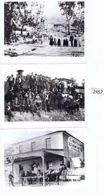 Postcards, Yarra Plenty Regional Library, Eltham District Historical Society postcards, 1900s