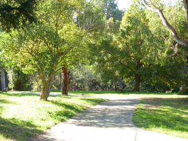 Photograph - Digital image, 158 Main Street [Greensborough], 02/05/2013