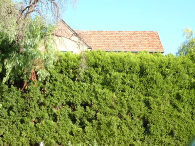 Photograph - Digital image, Ashmead [43 Grimshaw Street Greensborough], 02/05/2013