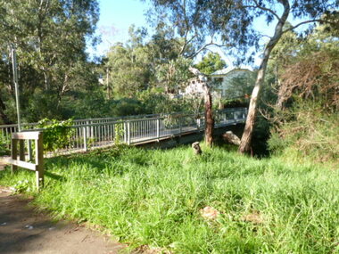 Photograph - Digital image, Rand Street Bridge [Greensborough], 02/05/2013