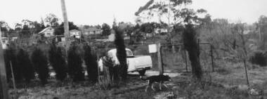 Photograph - Digital image, Grimshaw Street from Bicton Street c1964, 1964c