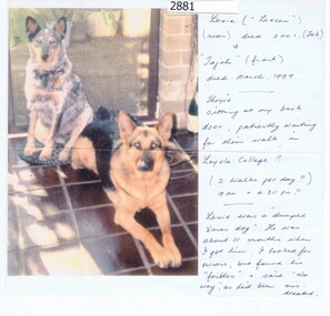 Photograph - Digital image, Shirley Fraser (Black), Mexie and Tajah [Shirley Fraser's dogs], 1998c
