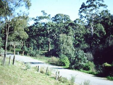 Photograph - Digital Image, The grounds at Blackjack, 1956_