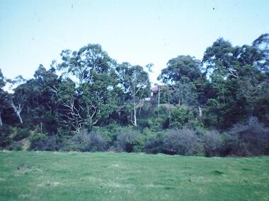 Photograph - Digital image, Frank Robinson, Greensborough from Pope's paddock, 1956_