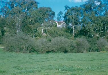 Photograph - Digital Image, Blackjack from the river flats below, 1954_