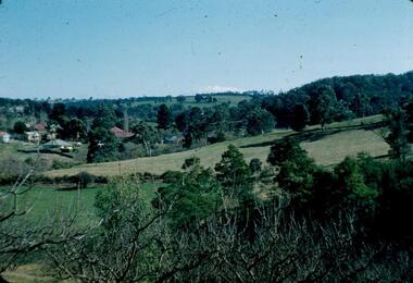 Photograph - Digital image, Frank Robinson, Looking north from the top orchard of Blackjack, 1954_