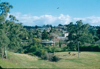 Photograph - Digital image, Frank Robinson, Looking west over Pope's paddock to Main Street, 1954_