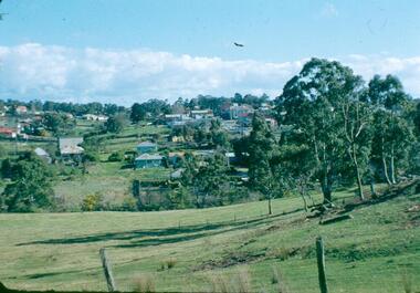 Photograph - Digital image, Frank Robinson, North end of Pope's paddock looking west to township, 1954_