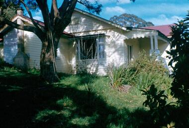 Photograph - Digital Image, Blackjack - looking south east up the hill, 1954_