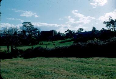 Photograph - Digital Image, View of Greensborough near Blackjack, 1954_