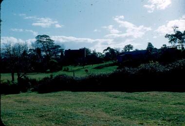 Photograph - Digital Image, View of Greensborough near Blackjack, 1954_