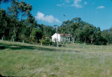 Photograph - Digital Image, View of Blackjack near Greensborough, 1954_