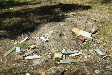 Photograph - Digital image, Marilyn Smith et al, Janefield Precinct: junk left by surveyors, 27/11/2014