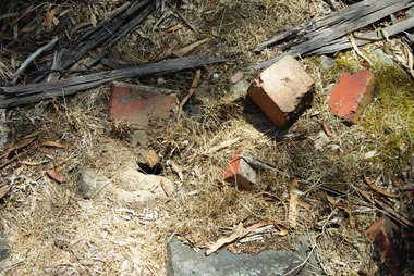 Photograph - Digital image, Marilyn Smith et al, Janefield Precinct: Near mess block, 27/11/2014