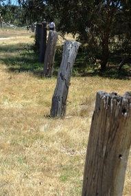 Photograph - Digital image, Janefield Precinct: Old fence line, and, retained earth on fence line, 27/11/2014