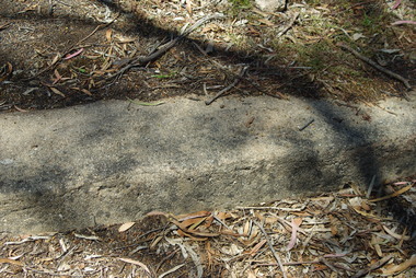 Photograph - Digital image, Marilyn Smith et al, Janefield Precinct: Preserved concrete edging, 27/11/2014
