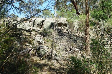 Photograph - Digital image, Marilyn Smith et al, Janefield Precinct: View of edge of basalt flow, 27/11/2014