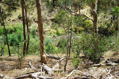 Photograph - Digital image, Marilyn Smith et al, Janefield Precinct: View of river bend, 27/11/2014