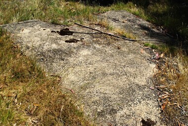 Photograph - Digital image, Marilyn Smith et al, Janefield Precinct: World War 2 era concrete shed base, sump and raised edge, 27/11/2014